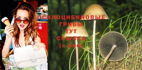 соль курить ск Алзамай
