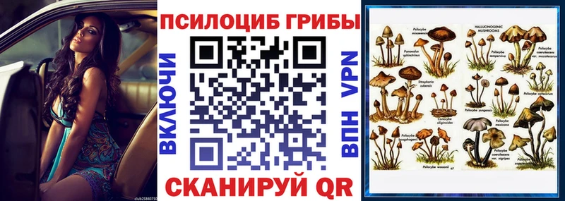 магазин  наркотиков  Строитель  MEGA зеркало  Галлюциногенные грибы ЛСД 