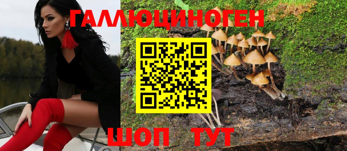 Строитель  Псилоцибиновые грибы MAGIC MUSHROOMS  Вход с VPN 